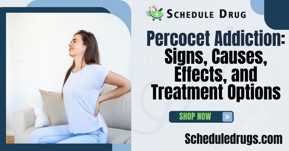 Percocet Addiction Signs, Causes, Effects, and Treatment Options